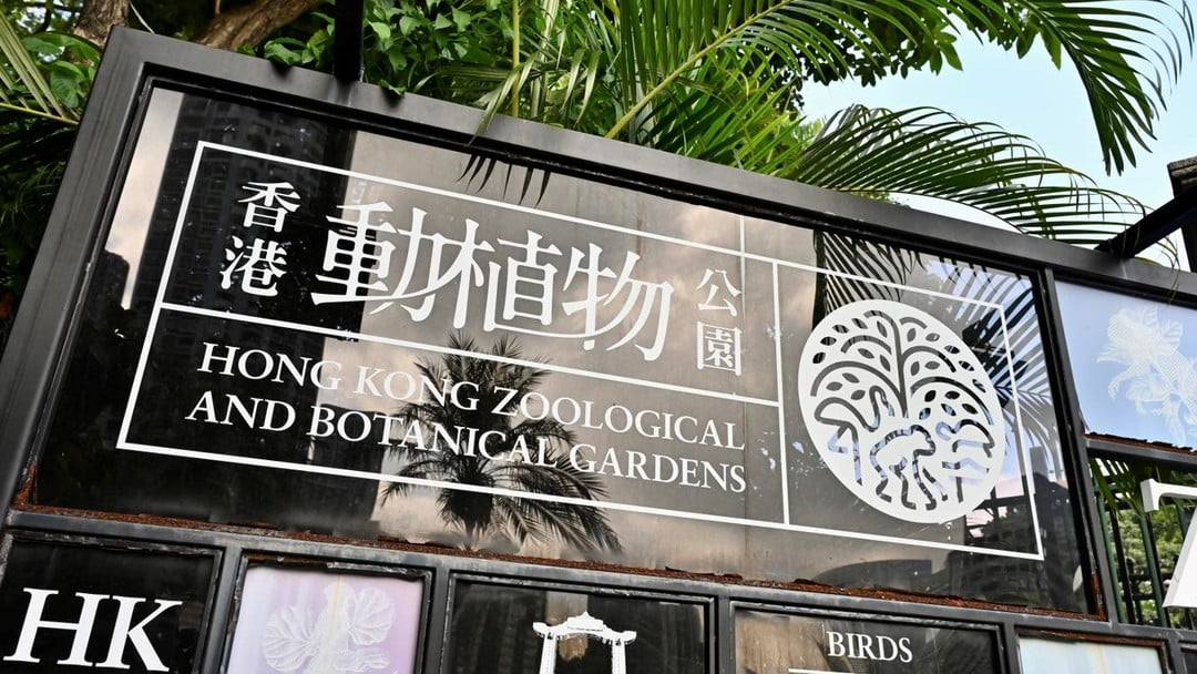 香港動植物公園哺乳類動物區13日重開