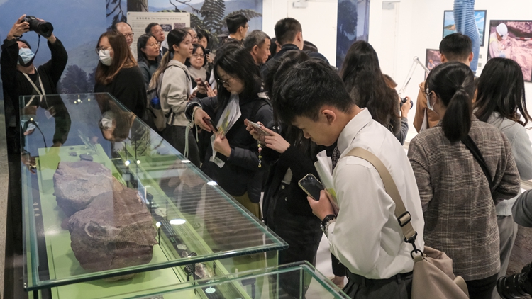 香港文物探知館「恐龍會客室」展出赤洲恐龍化石 明起開放 免費入場