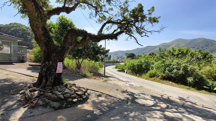 沙頭角蓮麻坑村附近邊境禁區路段開放 乘坐專營小巴通過無需申請通行證