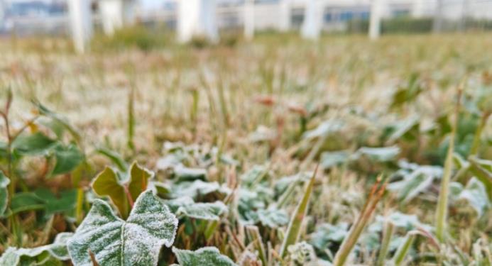立春還是冷冷冷！華南等地降幅可達10℃