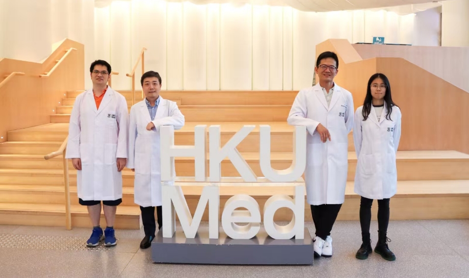 港大醫學院揭細胞微管新機制 助提升抗癌化療藥效