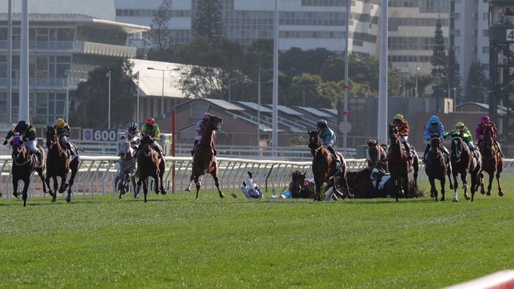 沙田馬場4位騎師墮馬 何澤堯未來24小時內離開ICU