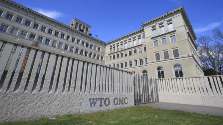 中方代表：美國單邊關稅政策給全球帶來衝擊