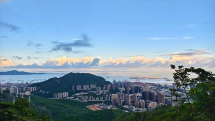 深港馬拉鬆開跑在即 部分路段將實施全封閉管理