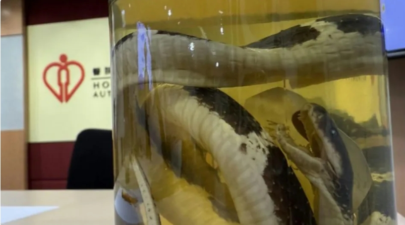 少年網購內地毒蛇被咬險喪命 換血5次才獲救