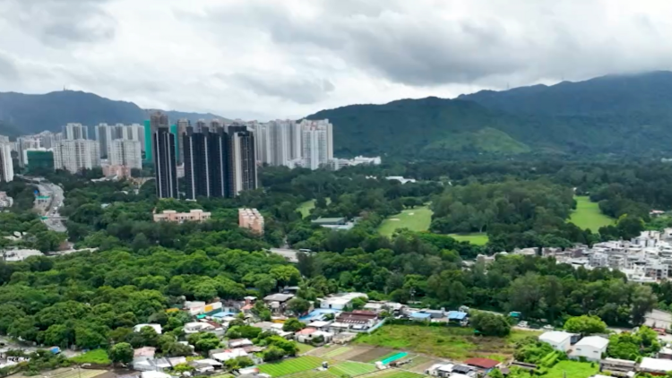 【港商時評】發揮市場力量 加速北都發展