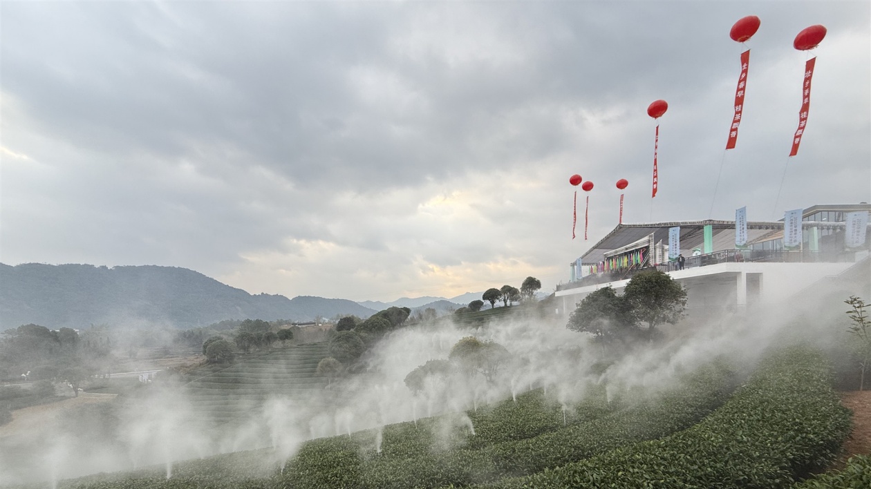 新式茶飲市場規模猛增  助廣西春茶走俏