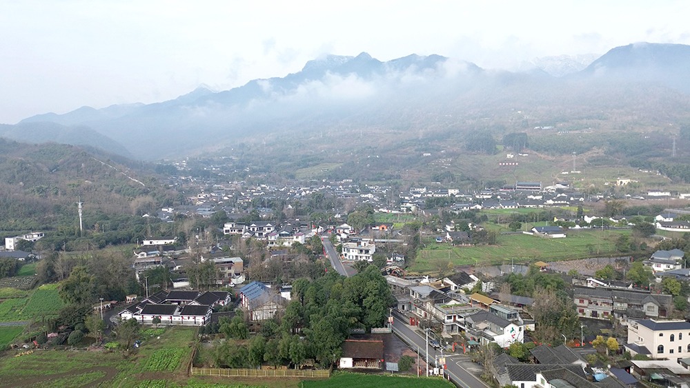 從「逛半天」到「怡然定居」 四川綿竹「民宿熱」激活鄉村旅遊「一池春水」