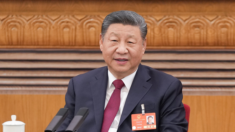 習近平在參加江蘇代表團審議時強調 經濟大省要挑大樑為全國發展大局作貢獻