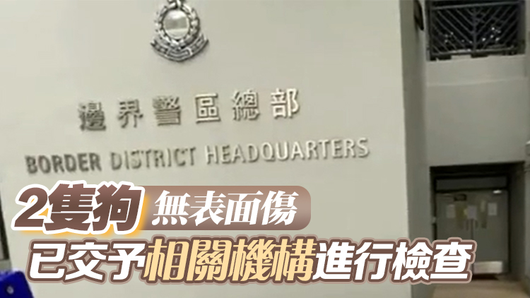 涉放毒餌餵兩狗 沙頭角公路萬屋邊村七旬婦被捕