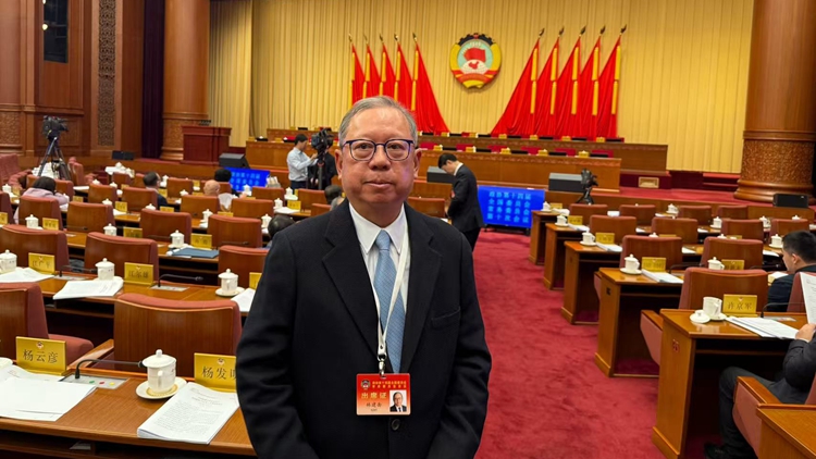 全國兩會｜林建岳：政府工作報告指導香港推動國際交往 深化大灣區文旅產業合作