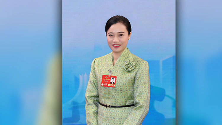 全國政協常委韋朝暉：以數碼技術賦能提升中國—東盟貿易投資便利化