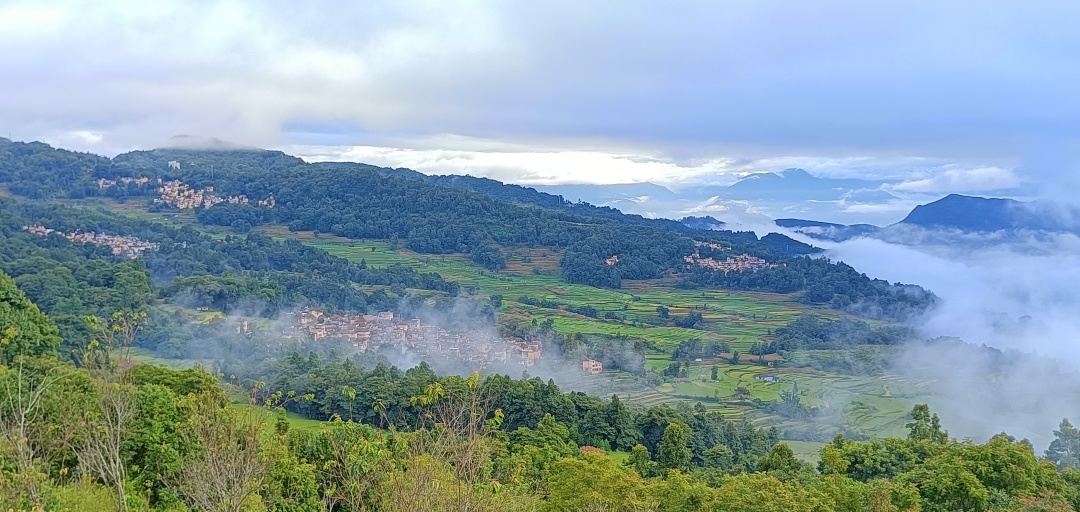 【長在隨筆】走進大歇村