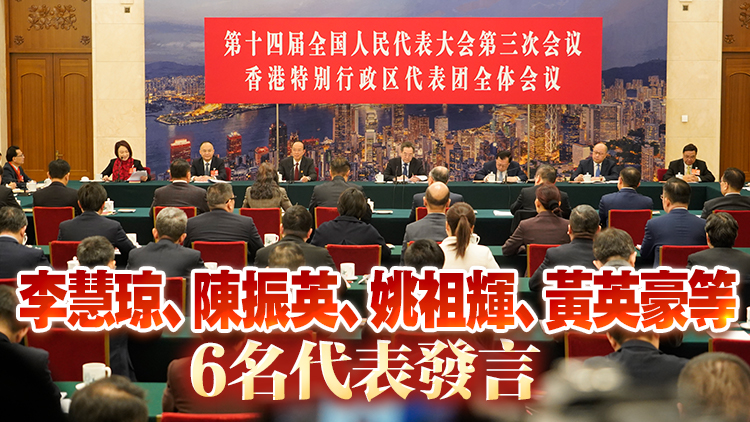 全國兩會｜丁薛祥參加港區全國人大代表團審議