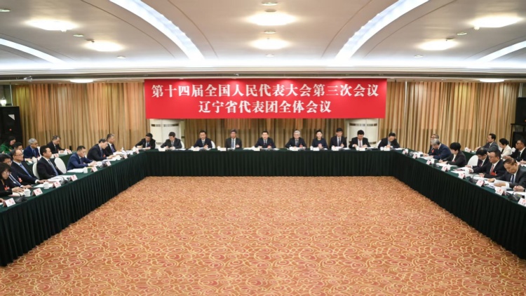 遼寧代表團開放團組 聚焦全面振興新突破