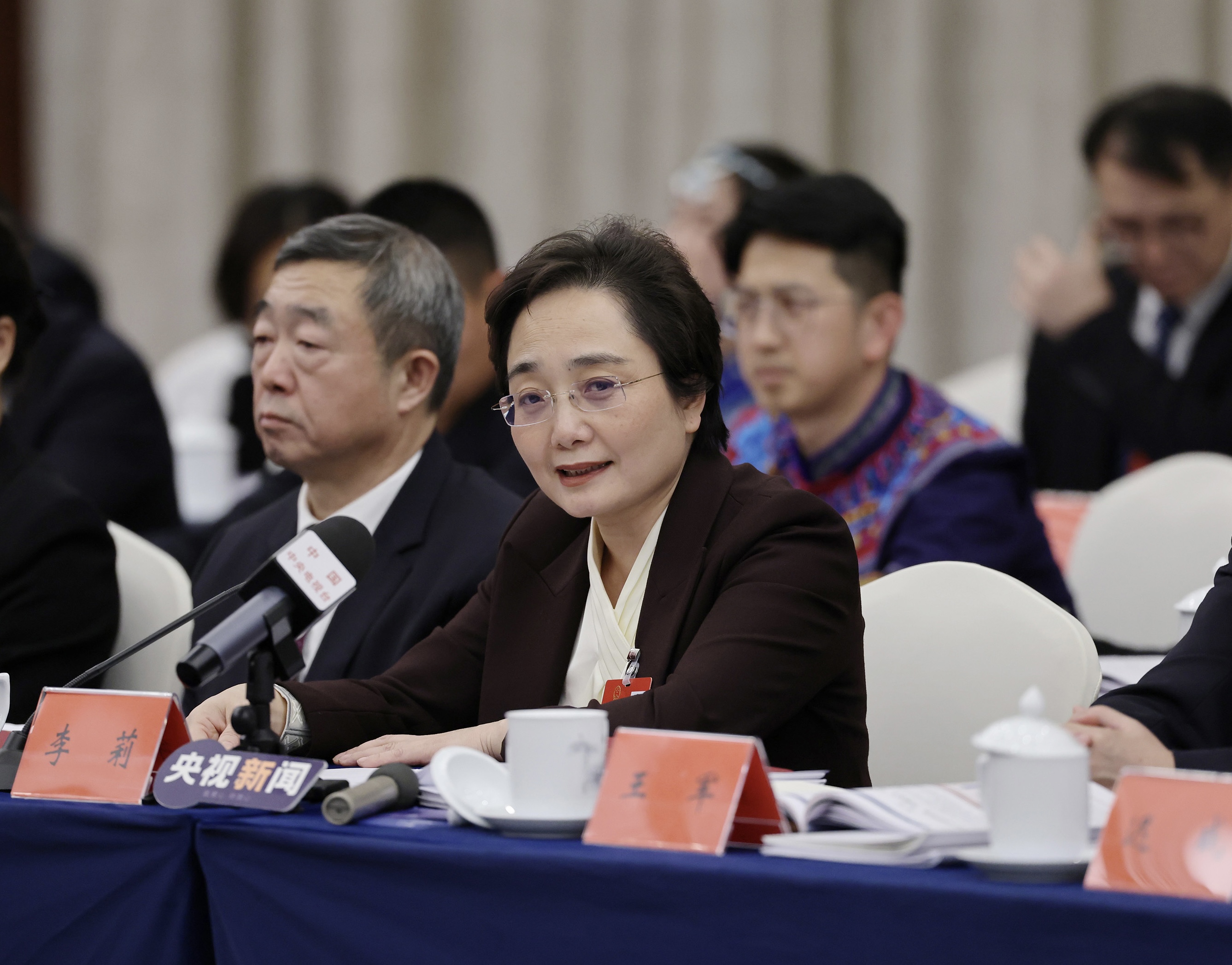 全國人大代表、北海市市長李莉：全面對接粵港澳大灣區建設 激發高質量發展活力