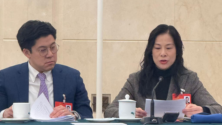 全國兩會 | 陳曼琪：香港機遇無限發揮自身優勢 為國家現代化建設作出更大貢獻