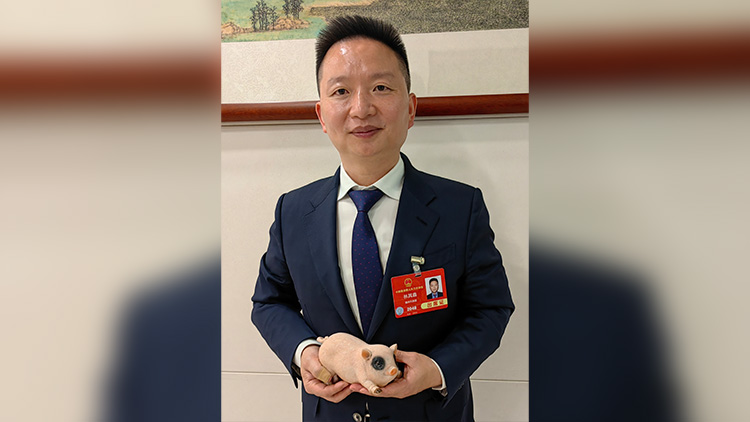 全國人大代表、重慶琪金食品集團董事長林其鑫：讓更多老百姓吃上優質「榮昌豬肉」