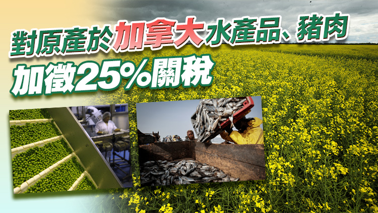 反制！中國對加拿大菜子油油渣餅豌豆等加徵100%關稅