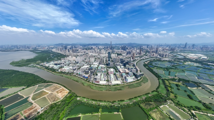 全國兩會｜胡曉明建議發展具國際影響力的創新科技生態圈 嚴厲打擊造假黑中介