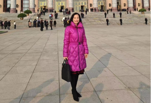 全國兩會｜陳曼琪：全力支持全國人大常委會工作報告和兩高報告 深入統籌推進國內與涉外法治建設