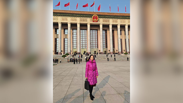 全國兩會｜陳曼琪：全力支持全國人大常委會工作報告和兩高報告 深入統籌推進國內與涉外法治建設