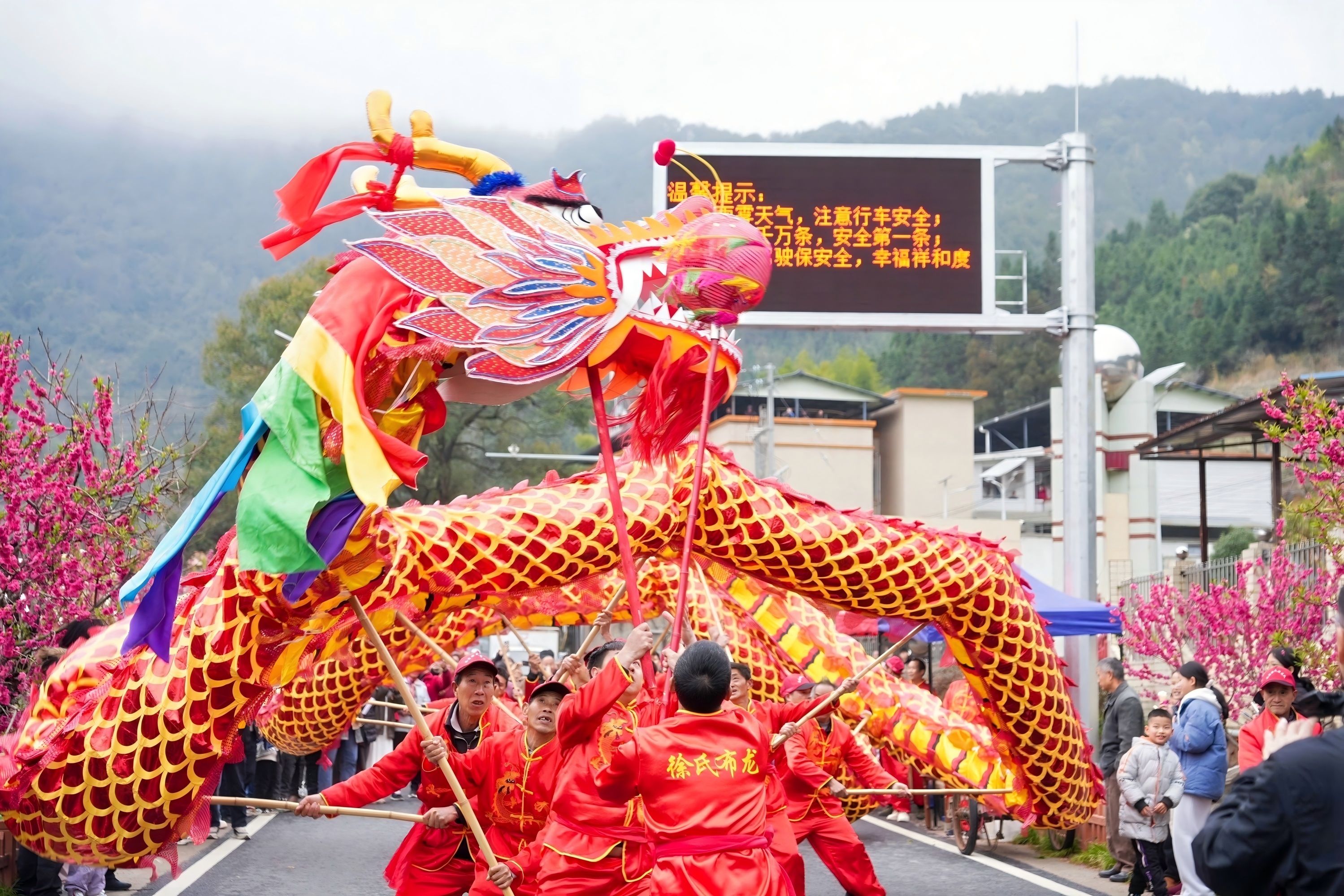 廣東樂昌花海喜迎賓客，開啟文旅融合發展新篇章