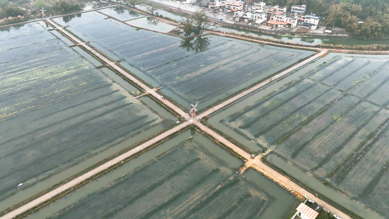 粵北韶關陳江村「稻蝦輪作」模式引領鄉村振興 早春小龍蝦搶占大灣區市場