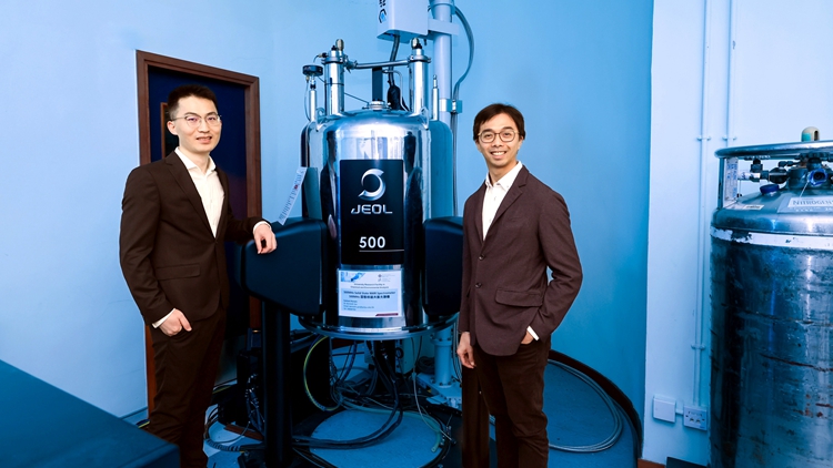 理大研究揭沸石可促進石油化工和再生能源應用