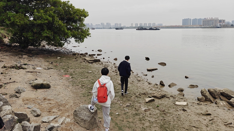 「百萬青年看祖國」港青走進增城濱江公園 共探東江水源