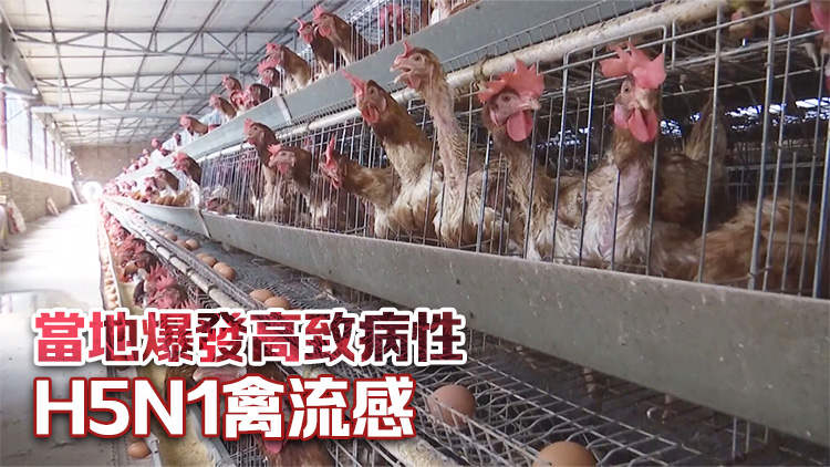 本港暫停進口波蘭和英國部分地區禽肉及禽類產品