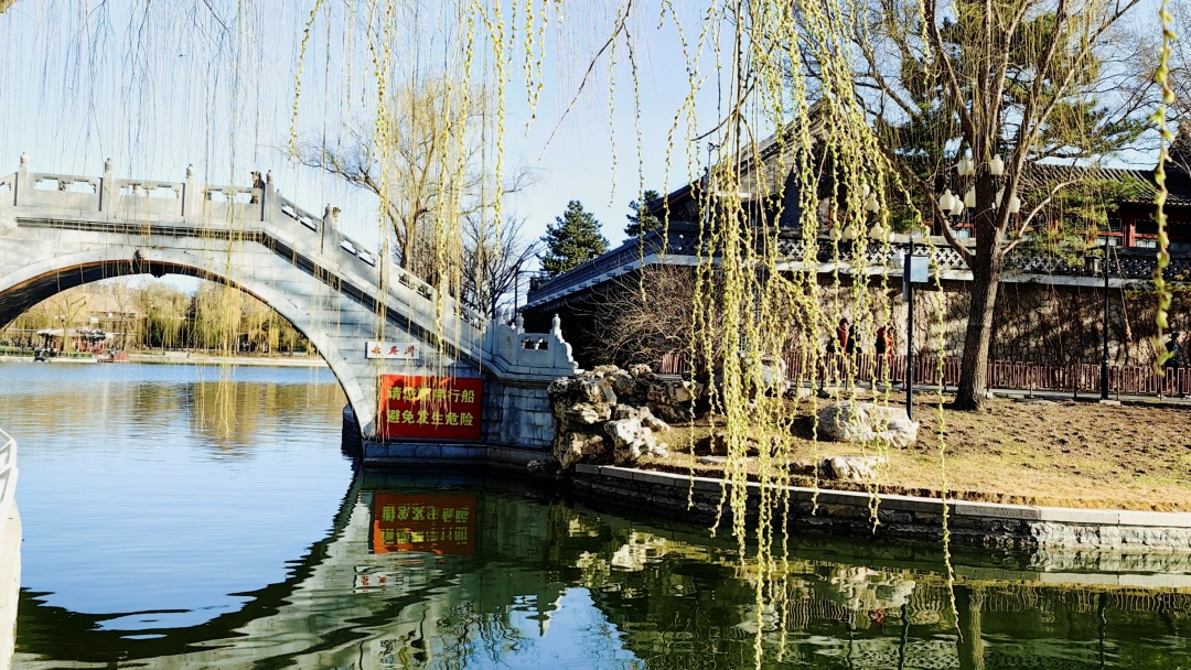 【長在隨筆】且莫深青只淺黃