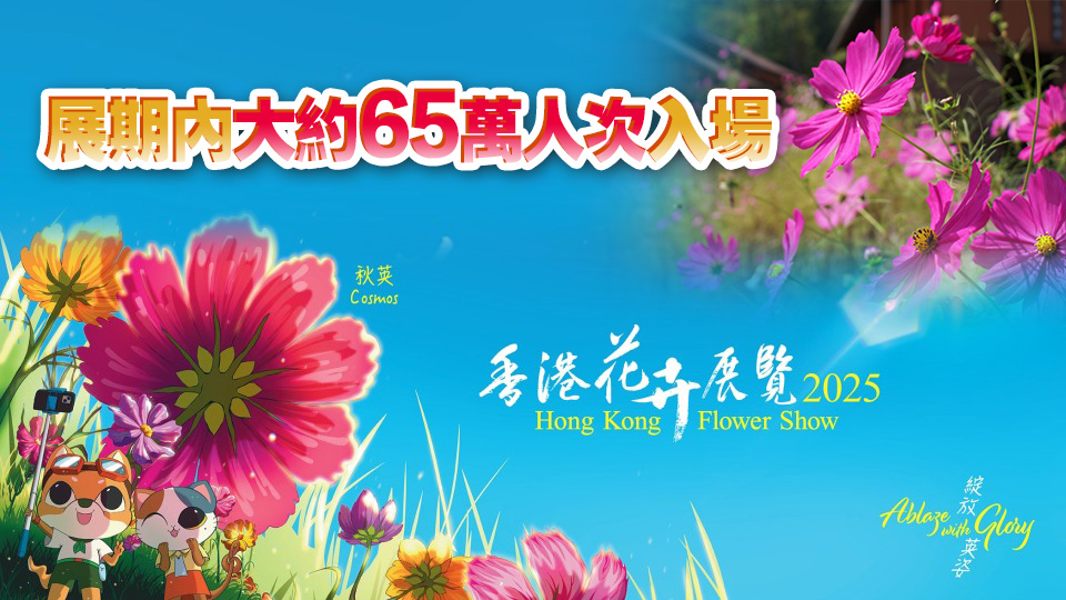 香港花卉展14日起維園舉行 以秋英為主題花 展期10日