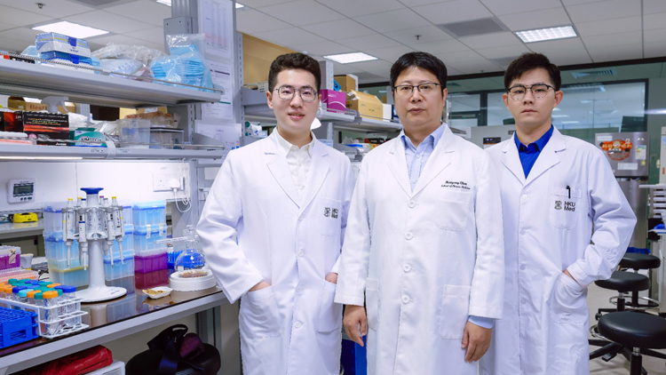 港大醫學院發現糖尿病腎臟病變發炎機制 可望為患者提供新治療方向