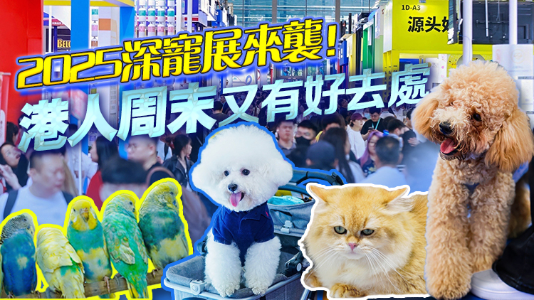 有片 | 「不摸小動物」挑戰失敗！來逛深寵展 港人周末好去處+1