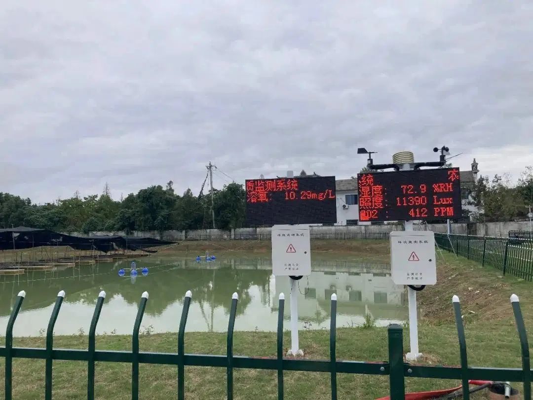 黃山徽揚物聯科技：推動產業數字化乘風起勢