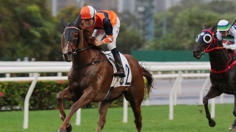 有片｜布文姚本輝合作建功 「陽光勇士」勝出九龍塘會盃