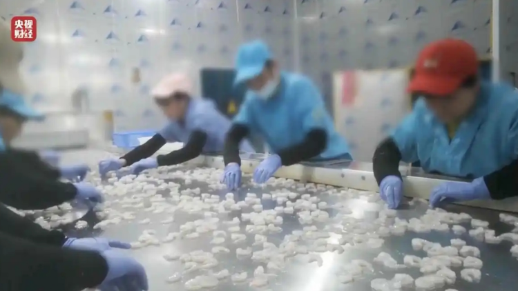 央視3·15晚會曝光廣東湛江「保水蝦仁」 廣東督促涉事企業召回相關產品