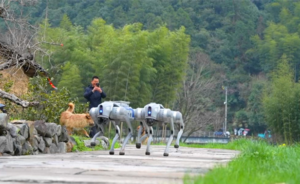 皖黟縣潭口度假區：智能機器狗 「上崗」 多元化服務進階