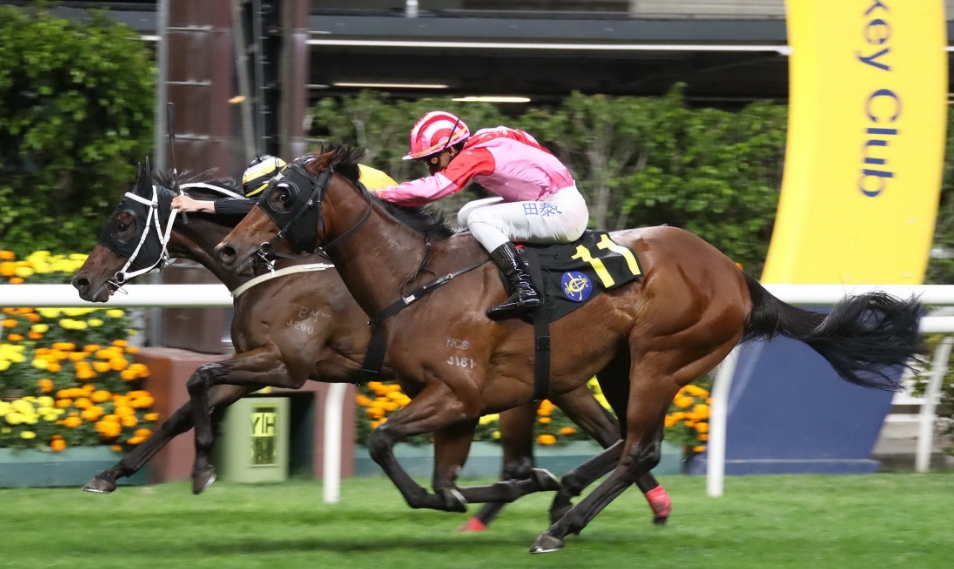 有片丨田泰安打破悶局 祥勝力駒勝出紀利華木球會挑戰盃