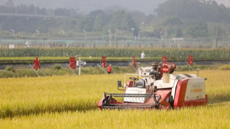 廣東加快實施「粵強農裝」工程 農機化與智慧農業「雙輪」驅動