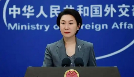 4名加拿大公民在中國被執行死刑，外交部回應