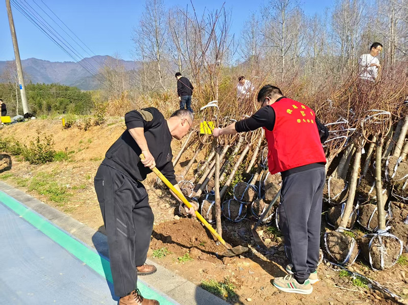 培育「鑄魂」實踐「扎根」創建「提質」  皖黟縣文明之花絢麗綻放