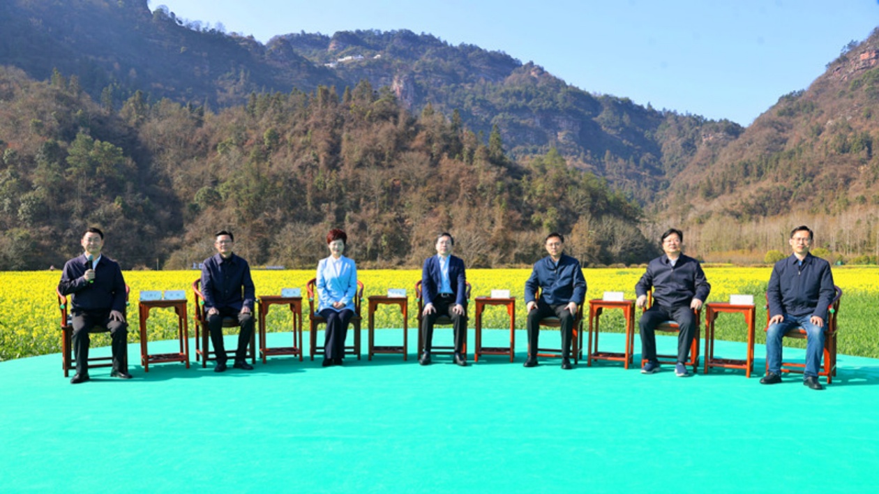 走進山水畫卷  品讀大美黃山