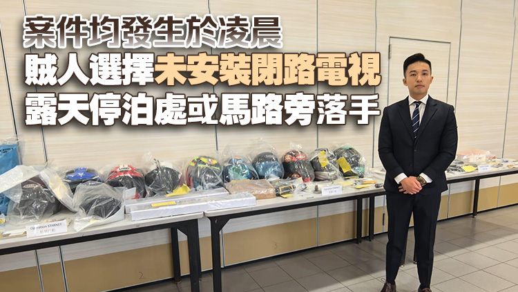 警方元朗搗破偷車集團 拘捕20人涉34案