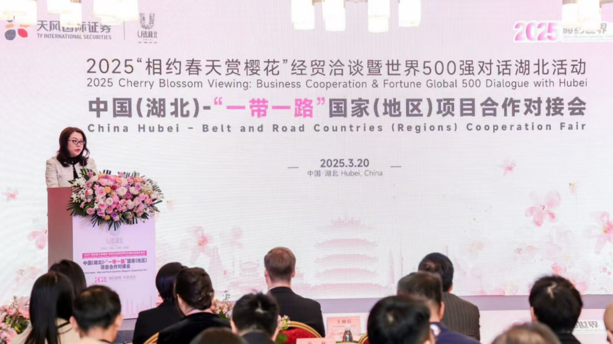 湖北「一帶一路」合作對接會架設產融「雙通道」