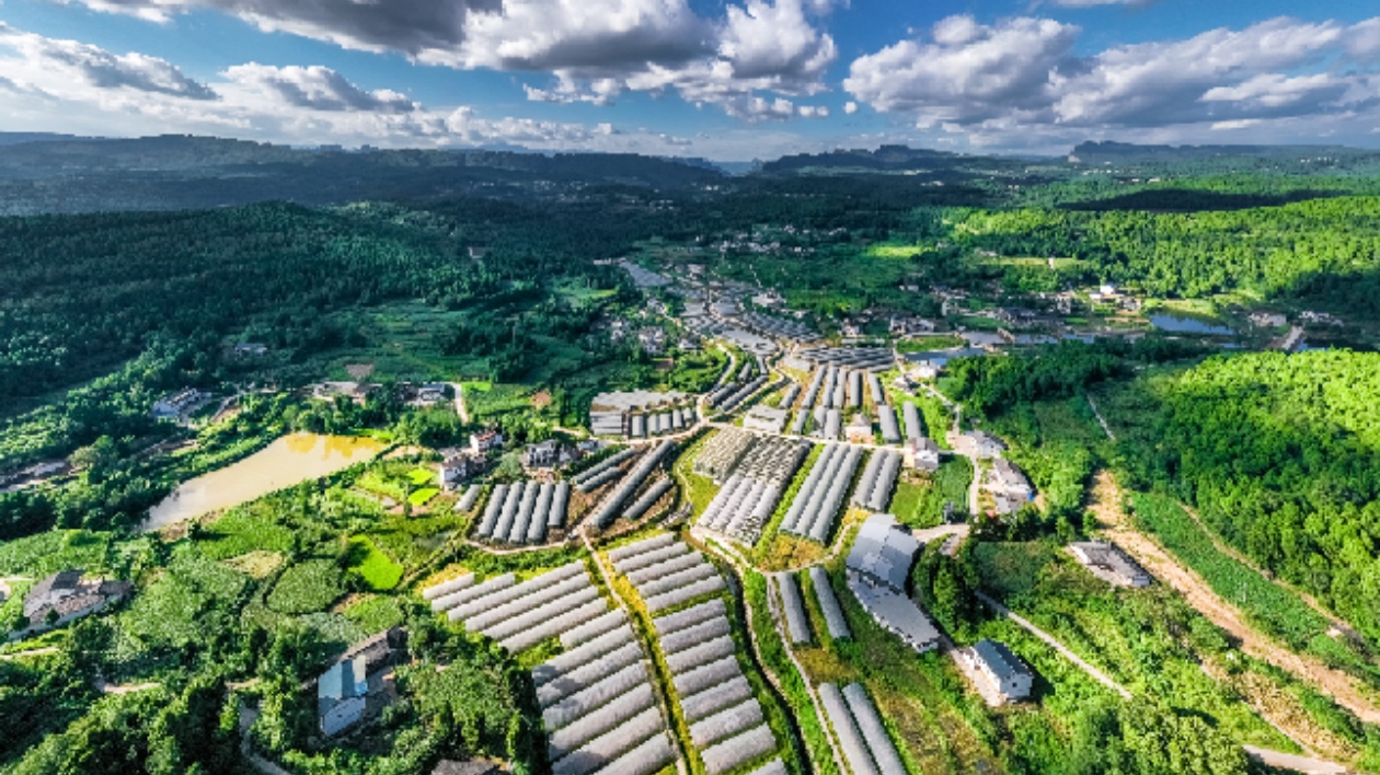 五個關鍵詞   解鎖四川劍閣縣域經濟高質量發展