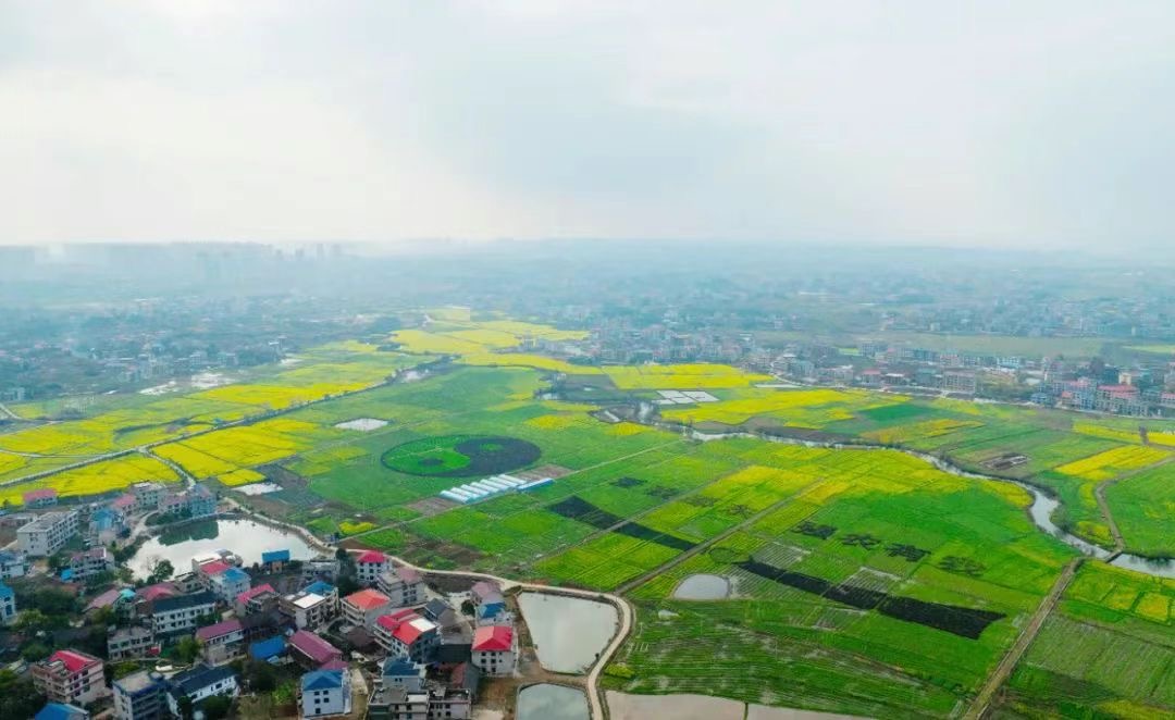 原創主旋律歌曲《生命至上》：「文藝反邪」宣傳教育的範式標桿