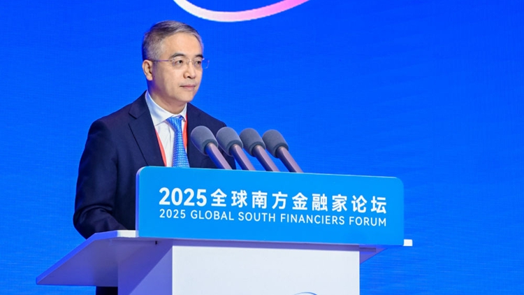 中國農業銀行董事長谷澍：聚金融力量 譜全球南方發展新篇章