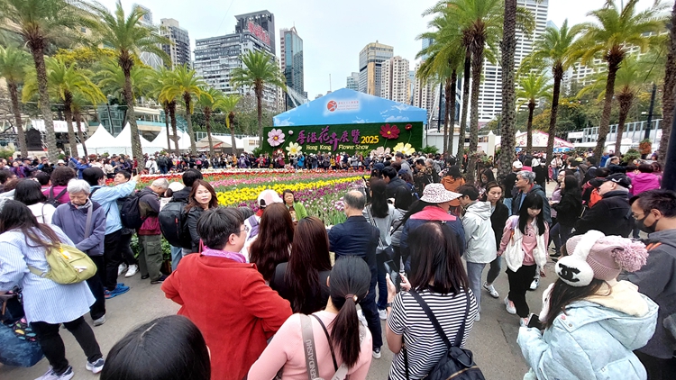 香港花展明晚9時閉幕 大會料將向市民派約3500盆花卉